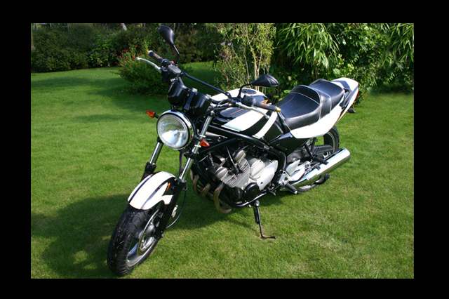 Yamaha 600 diversion repeinte