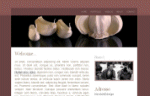  projet site 
